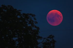 blood-moon-3570417_1920