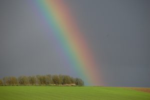 rainbow-110953_1920
